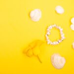 Reddybook Review: How the Innovative Platform and 11xplay Integration Transform Digital Learning